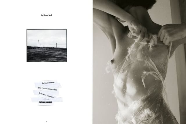 But I Must Remember — Nicotine Magazine