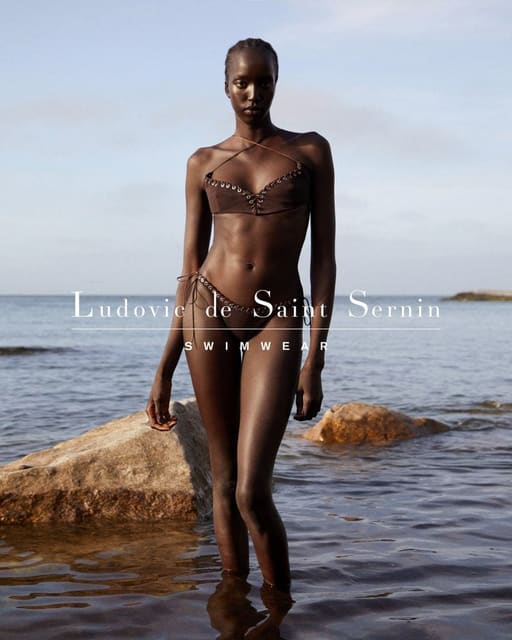 Ludovic de Saint Sernin Women's Swimwear... — Ludovic de Saint Sernin