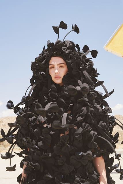 Amelia Gray Hamlin — The Perfect Magazine