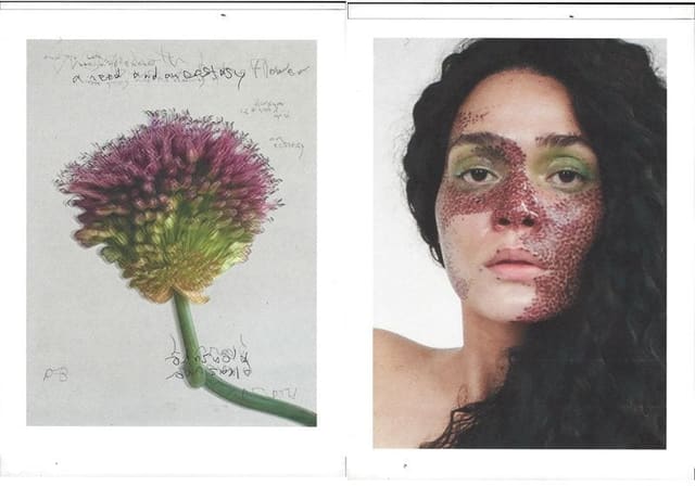 A story like an art object: Kristina Sha... — Lampoon Magazine