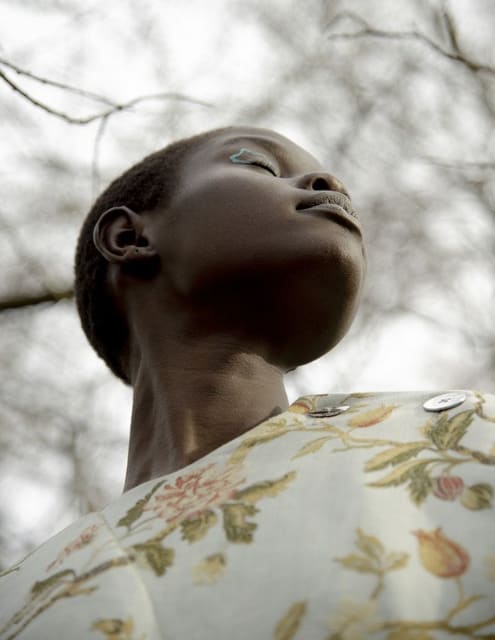 Frondescendence — Blanc Magazine