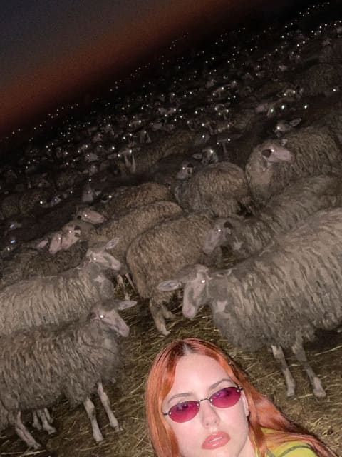 PRISCAVera FW21 Campaign — PRISCAVera
