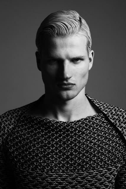 The fierce by Philip Neufeldt