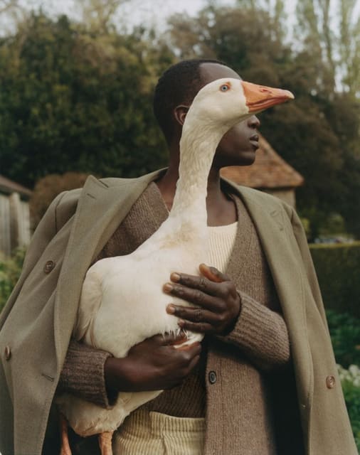 Dennis Okwera