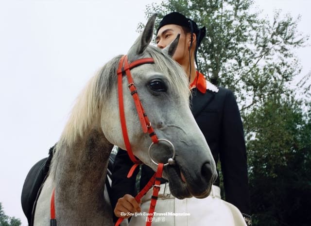 The Horseman — The New York Times Magazine