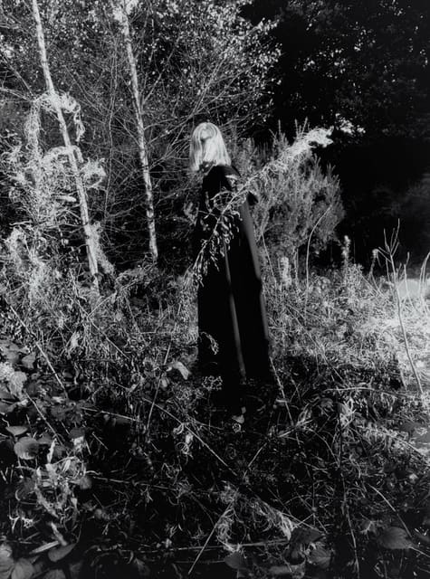 The Sculpture Park — HERO Magazine