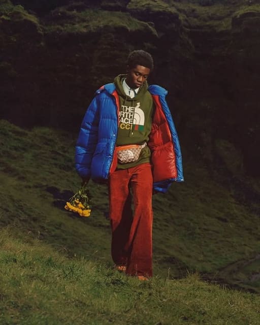 Gucci x North Face Spring 2022 #TheNorth... — Gucci
