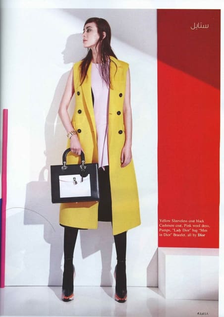 Zeina al anaka: Dior fall/winter 2013-20...