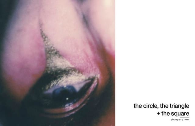 the circle, the triangle + the square ph... — Schön Magazine