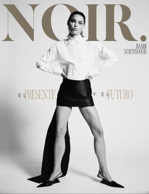 Noir Magazine January 2022 Covers — Noir Magazine