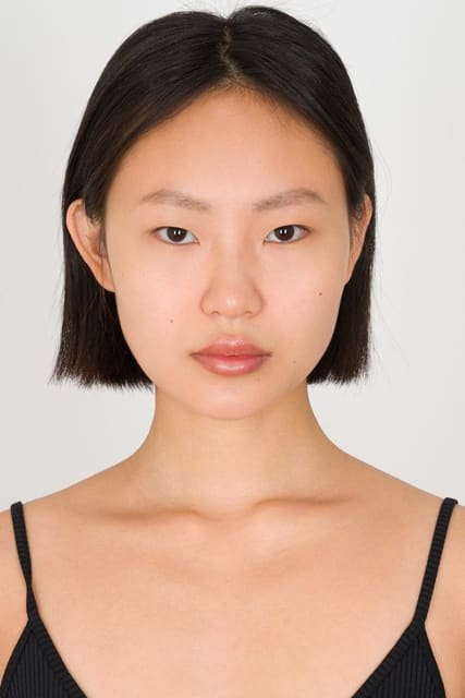 Ludan Zhang