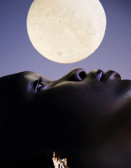 The Luna Effect - Issue SS22 — Latest Magazine