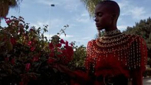 Black Fair Queen