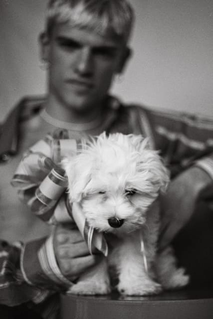 Alexis Meziani by Lisa Habets — MMScene