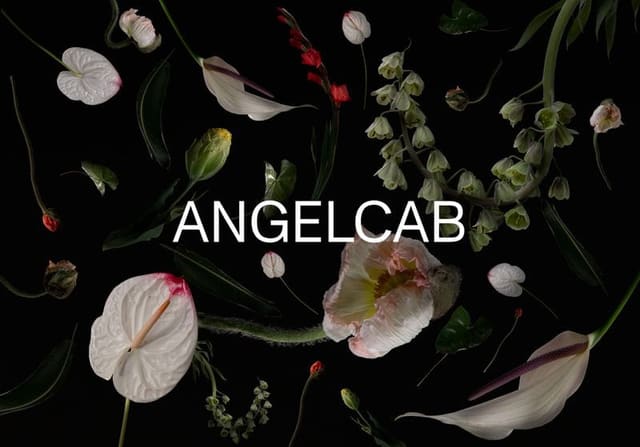 Angelcab Campaign 2021