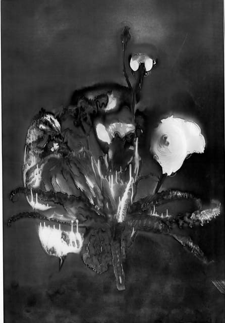 Flowers by Jean Vincent — novembre magazine