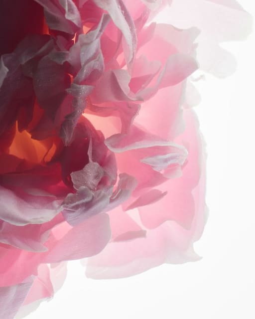 #PradaLesInfusions — Prada