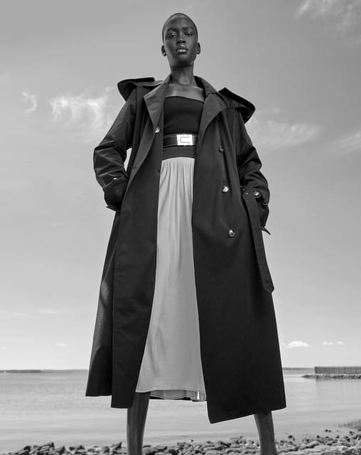 Shades of Fall — M Revista de Milenio