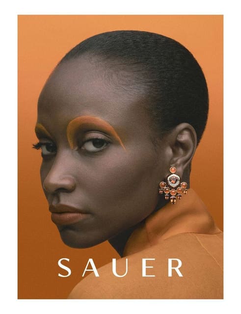 Sauer 1941 Chakras campaign