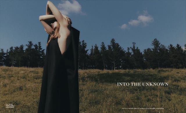 Into the unknown — Shinsegae