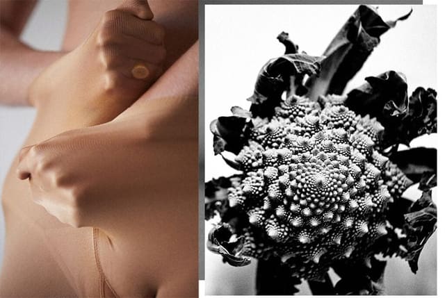 Nature Morte et Nous