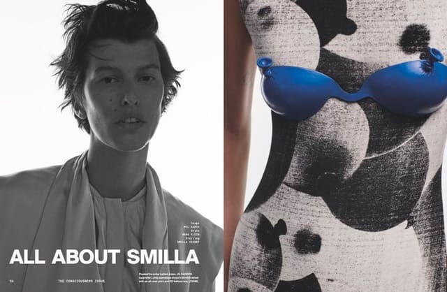 All About Smilla — Collectible Dry