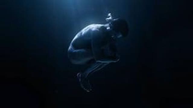 Davidoff Cool Water Reborn 2022 — Davidoff