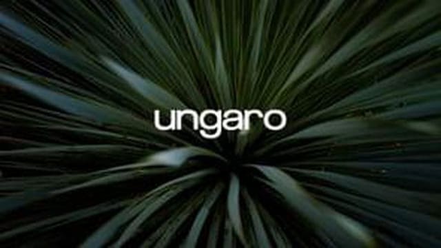Emanuel Ungaro S/S 23 Men's Lookbook — Emanuel Ungaro