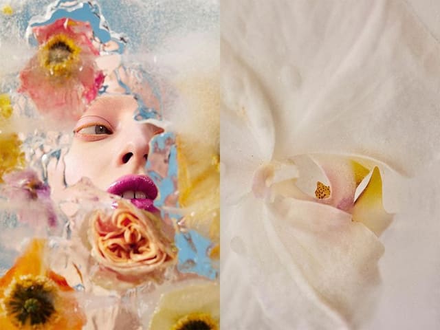 (N)ice Beauty — Nylon Germany