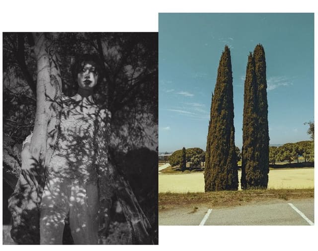 Dreamstate — Contributor Magazine