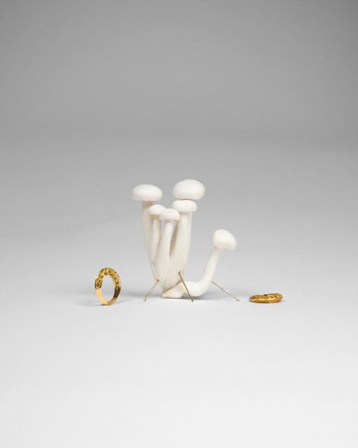 COPIN Collection 00. 2022