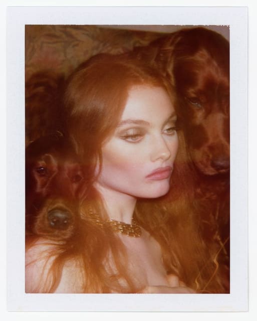 'Bitches' Solo Exhibition — Exhibition