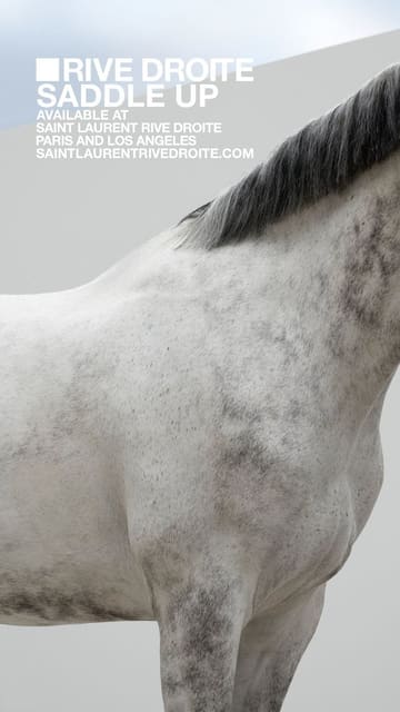 Saddle Up Saint Laurent Rive Droite by A... — Saint Laurent