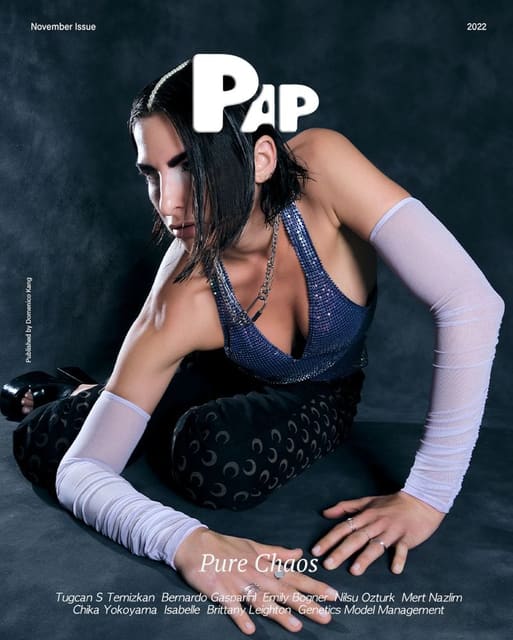 PAP Magazine November 2022 Covers — PAP Magazine