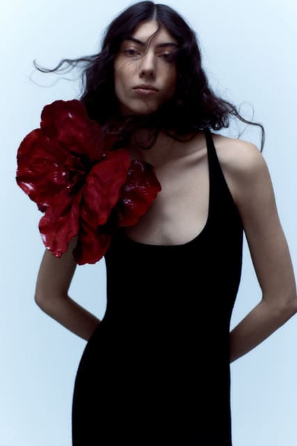 Amir Taghi Fall 23 — Amir Taghi