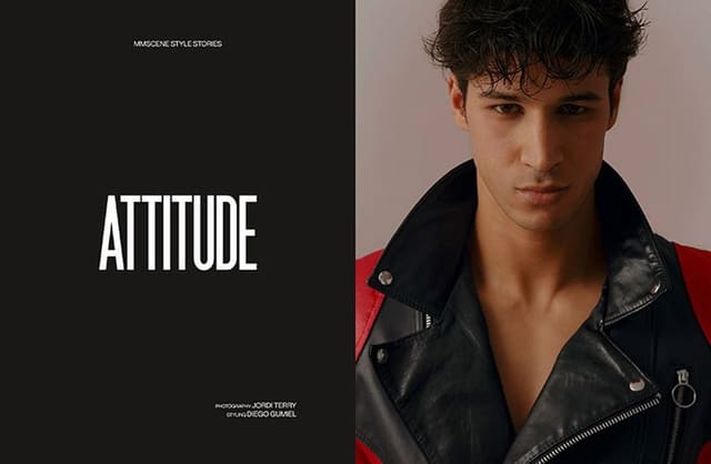ATTITUDE — MMScene