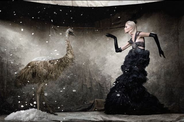 Bird by Christian Ammann — Marie Claire Hong Kong