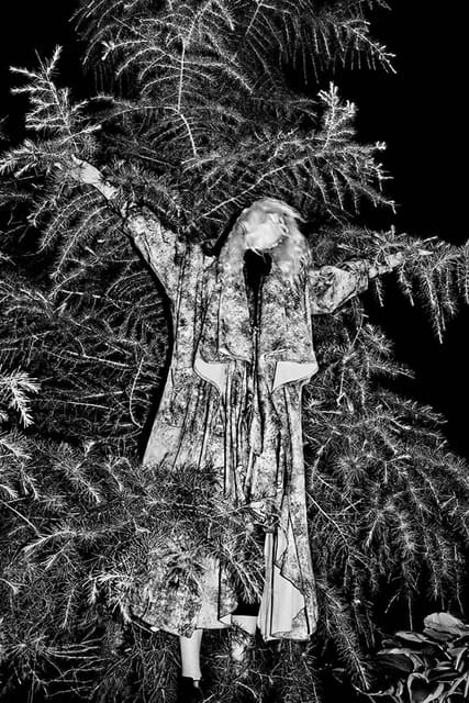 Moon Flower / Rodarte Collaboration — Gravure Magazine
