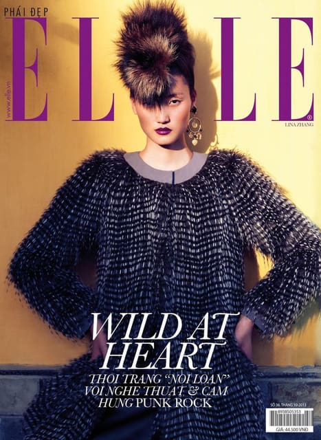 Elle Vietnam October 2013 Covers — Elle Vietnam
