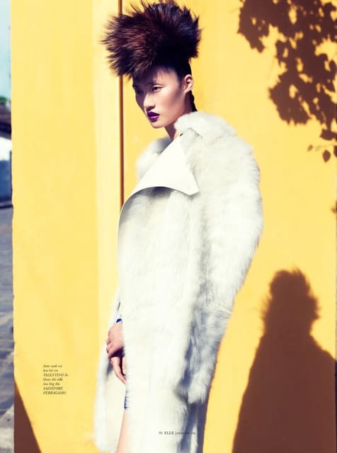Wild At Heart (Cover Story) — Elle Vietnam