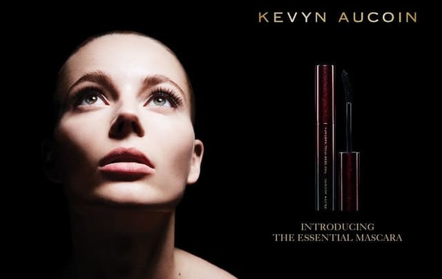 Kevyn Aucoin 2013 — Kevyn Aucoin