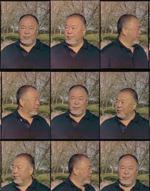 Ai Wei Wei