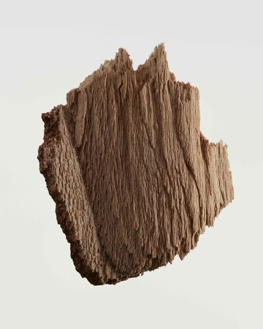 Extreme Botanicals by Ben Pexton — Burberry