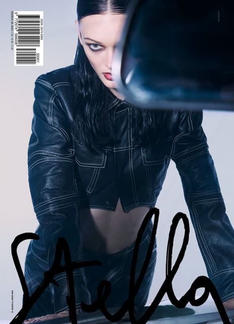 STELLAPublication #2