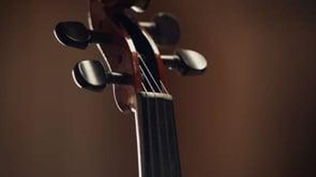 Brand Video Videographer Alex Reid — Daks