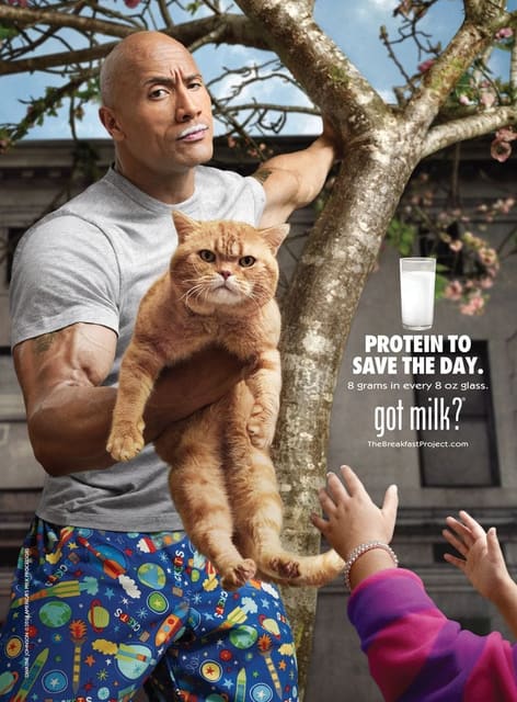 The Rock Got Milk Campaign 2013 — Got Milk
