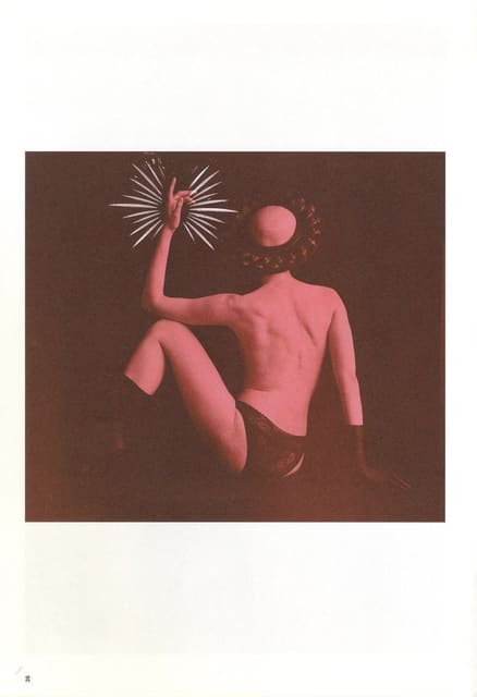 Meshes into the Super Nature — PAN and the Dream