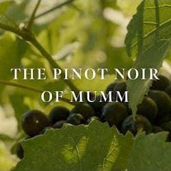 MUMM: Les Variations