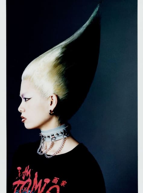Infrindge Magazine: Punk Playmate by Art...