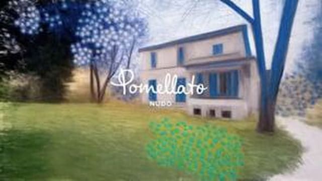 Pomellato Crafted Emotions — Pomellato